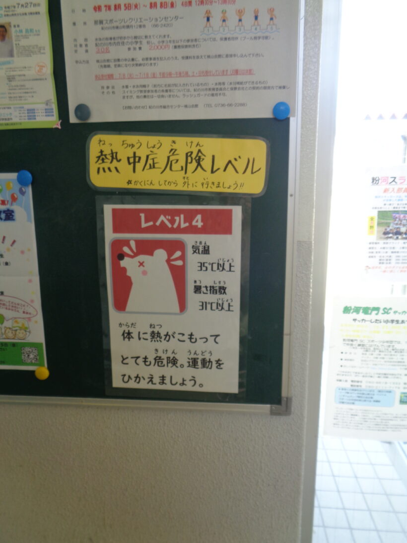 七夕ですね