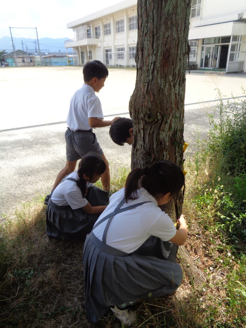 ２学期が始まりました