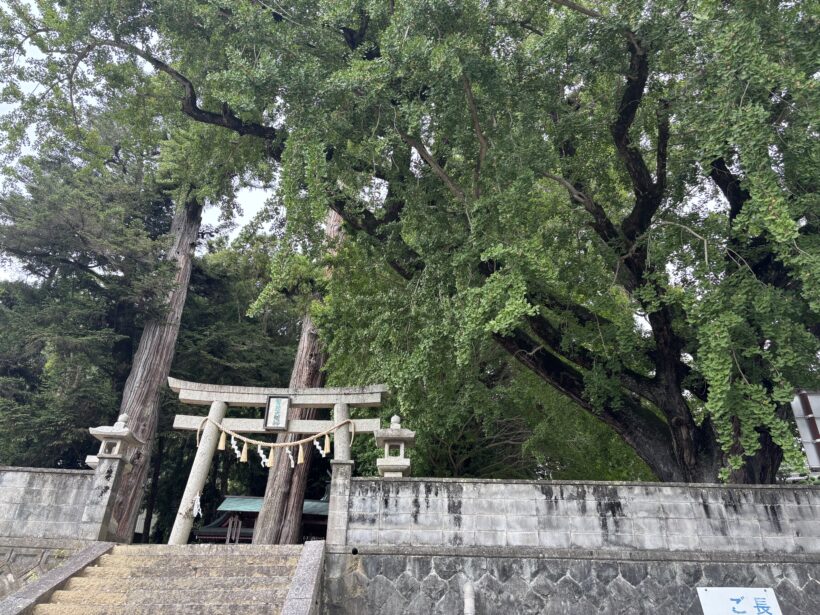 川原の秋