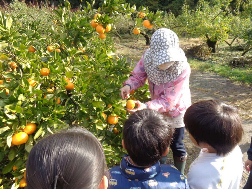 教育実習生と一緒に