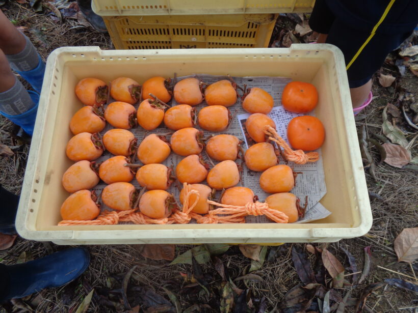 「川原のすてき」見つけたよ