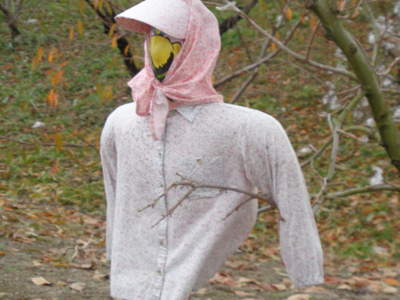 「川原のすてき」見つけたよ