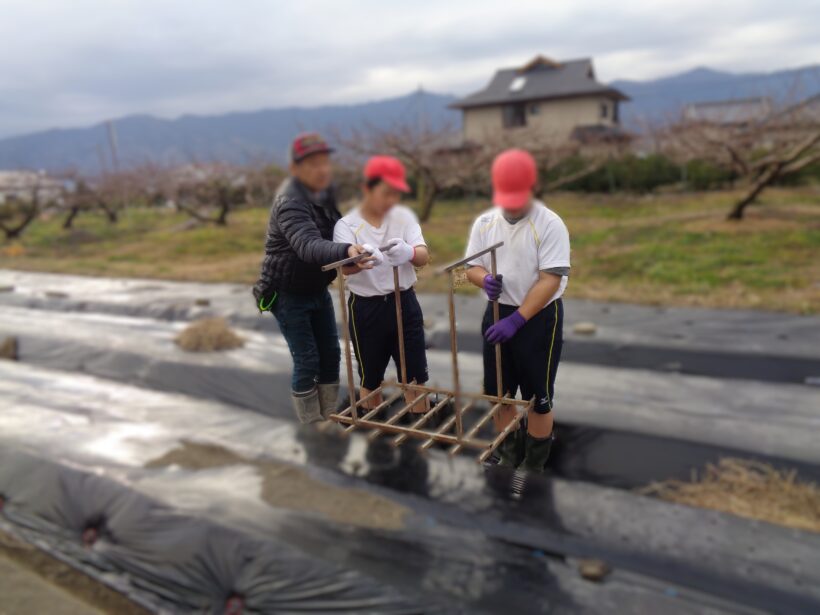 朝の運動～野菜の植えつけ