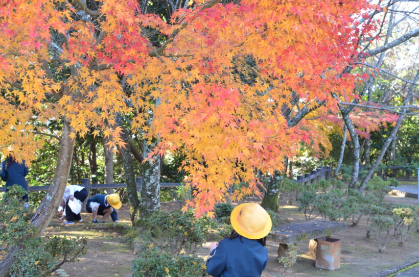 授業風景【11月25日】と秋みつけ（秋葉山公園）🍁