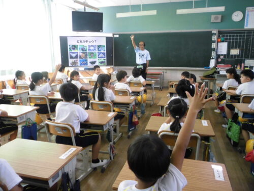 生き物の先生が来てくれたよ（１年）