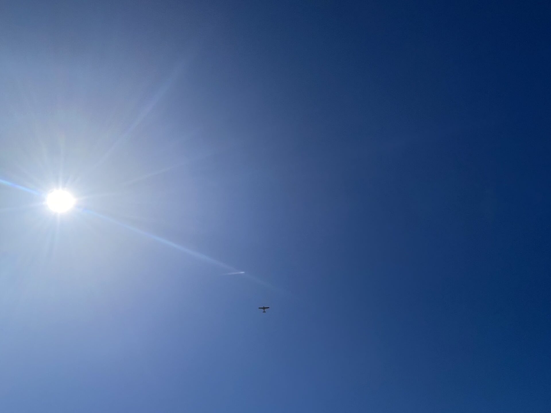 航空写真