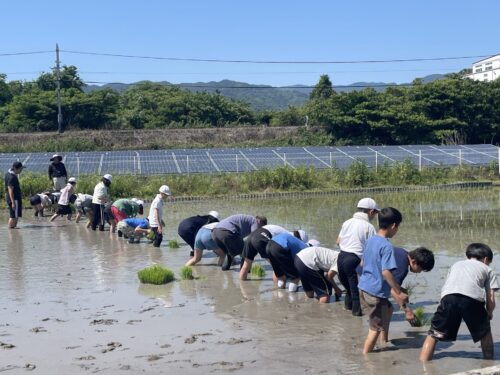 田植え(5年)