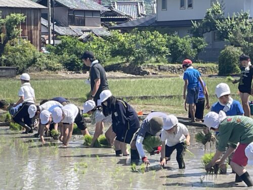 田植え(5年)