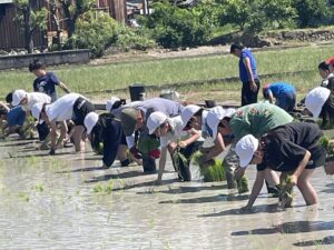 田植え（5年）