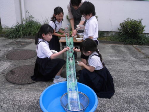 一年生の活動