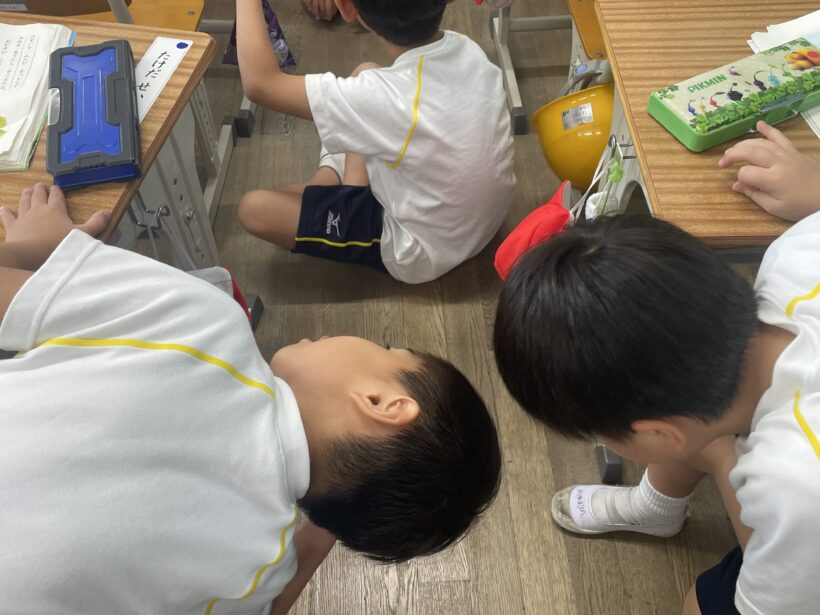 一年生の活動