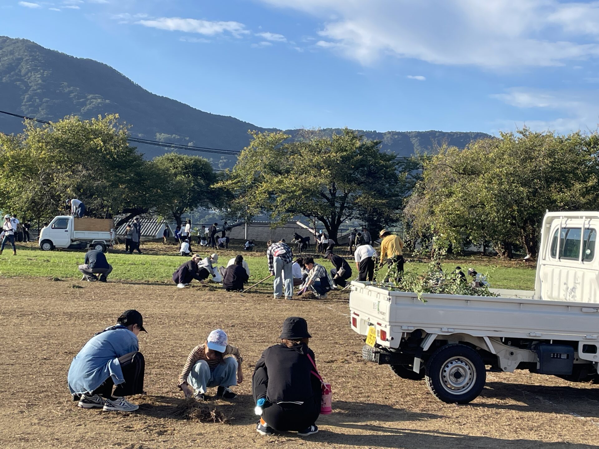 育友会除草作業