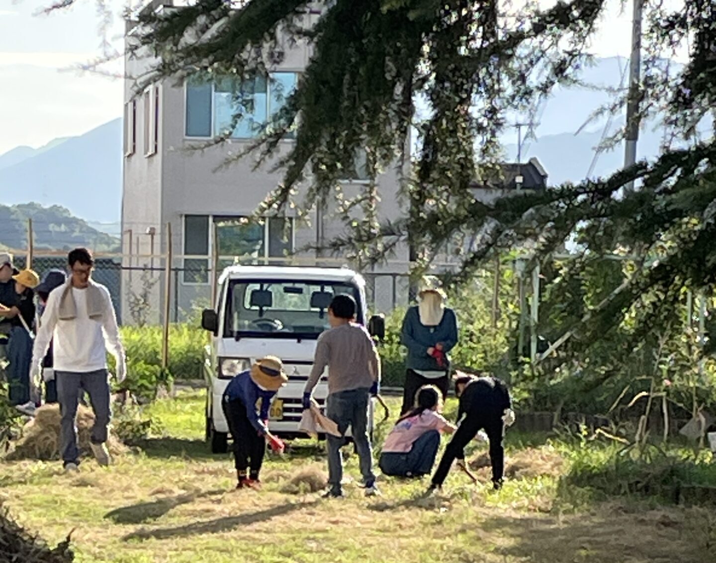 育友会除草作業