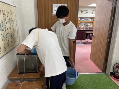 職場体験