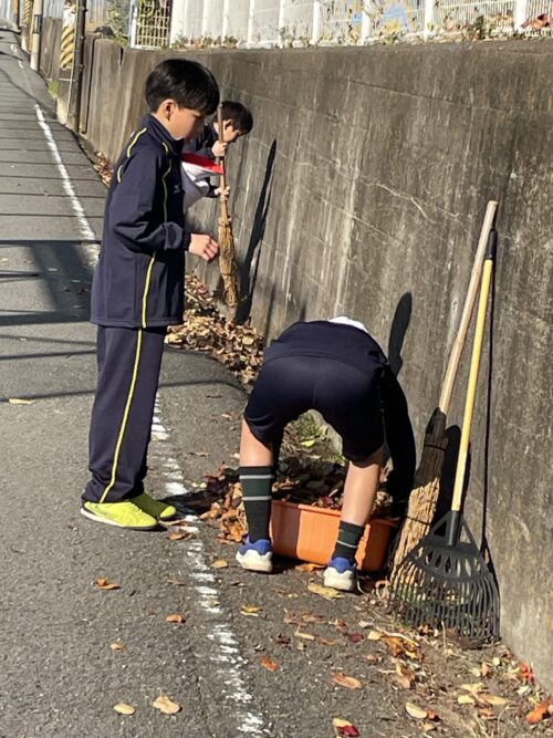 クリーンアップ作戦