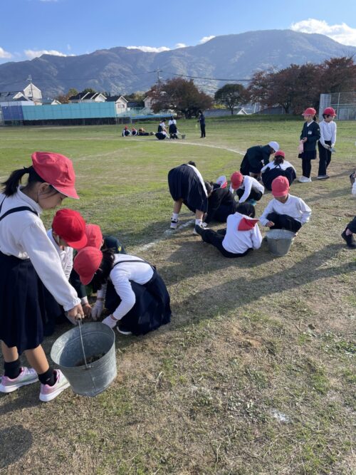 クリーンアップ作戦