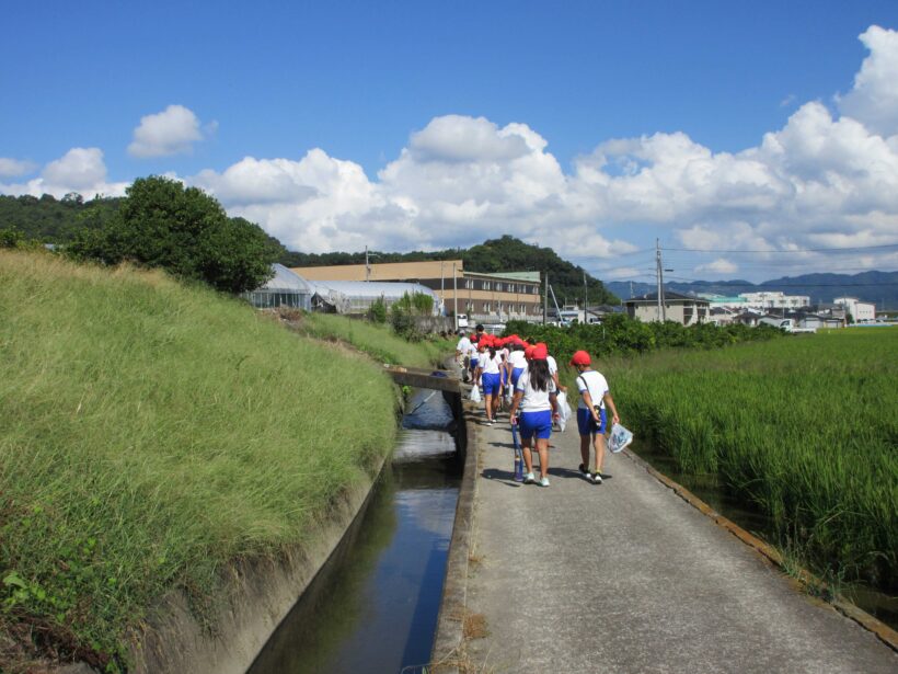 水路の生き物調査へGO