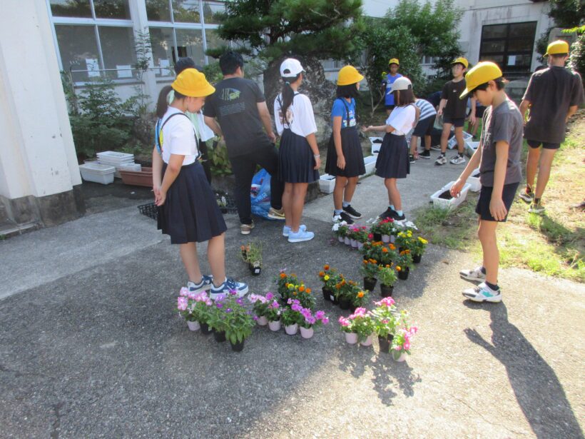 今日の丸栖小学校、委員会活動