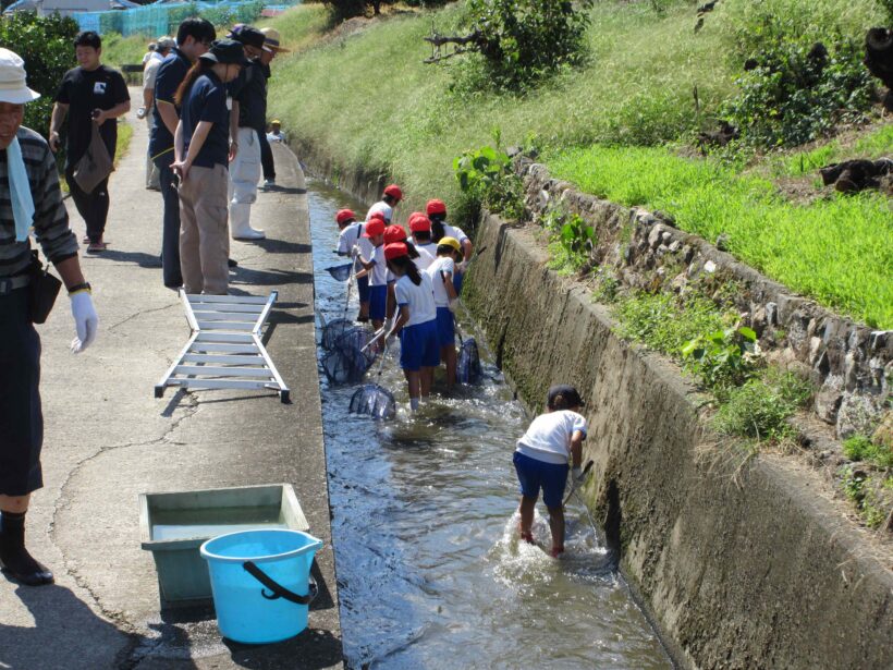 水路の生き物調査へGO