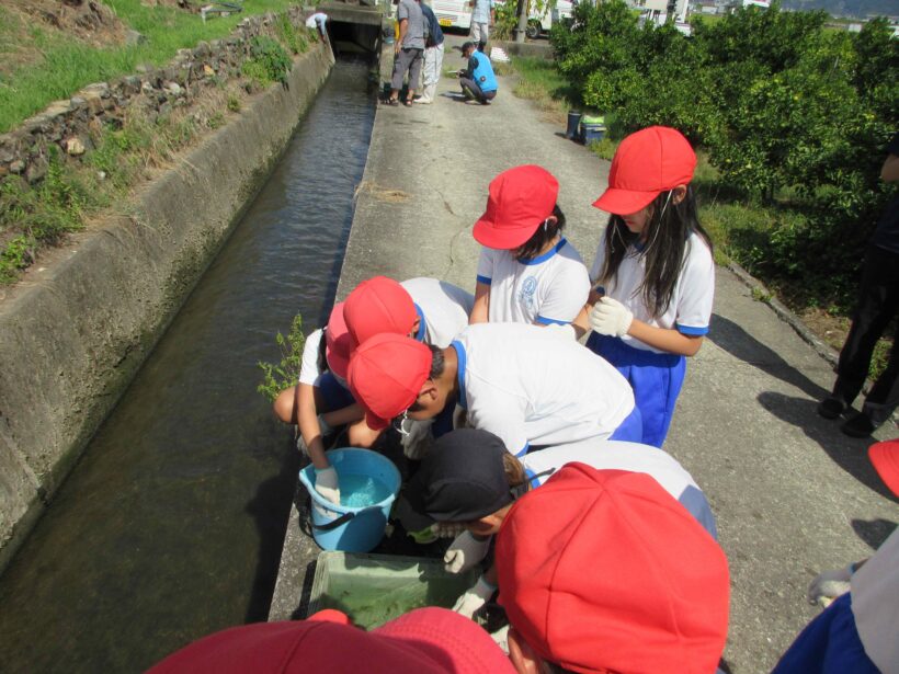 水路の生き物調査へGO