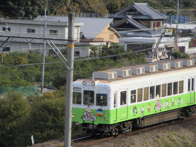 ネコの目のように、和歌山電鐵を見学