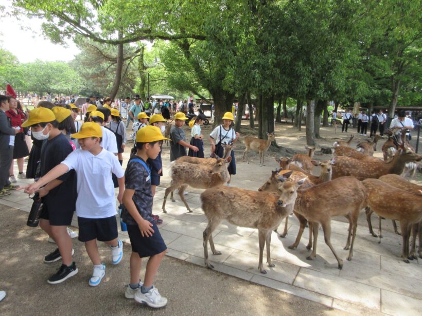 修学旅行に行ってきました～