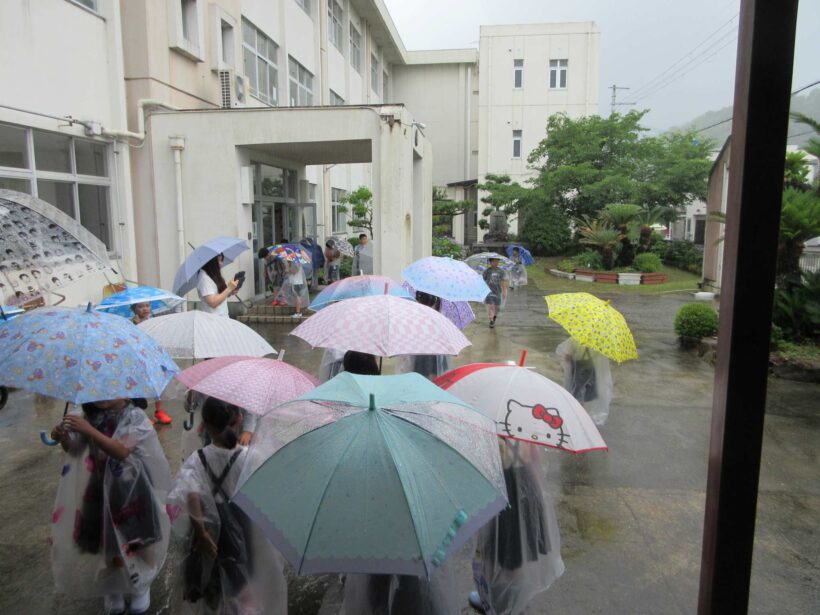 雨の季節ですが
