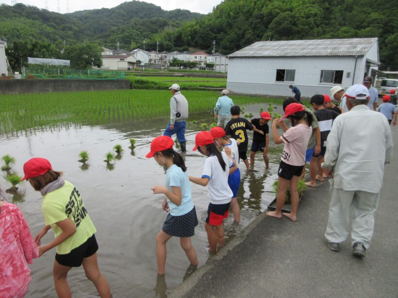 田植えにチャレンジ！