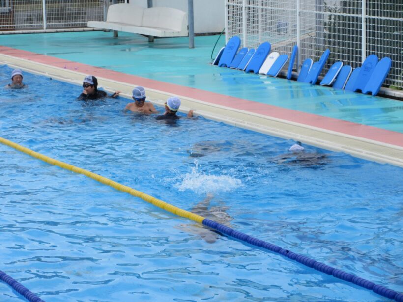 プール水泳が始まっています