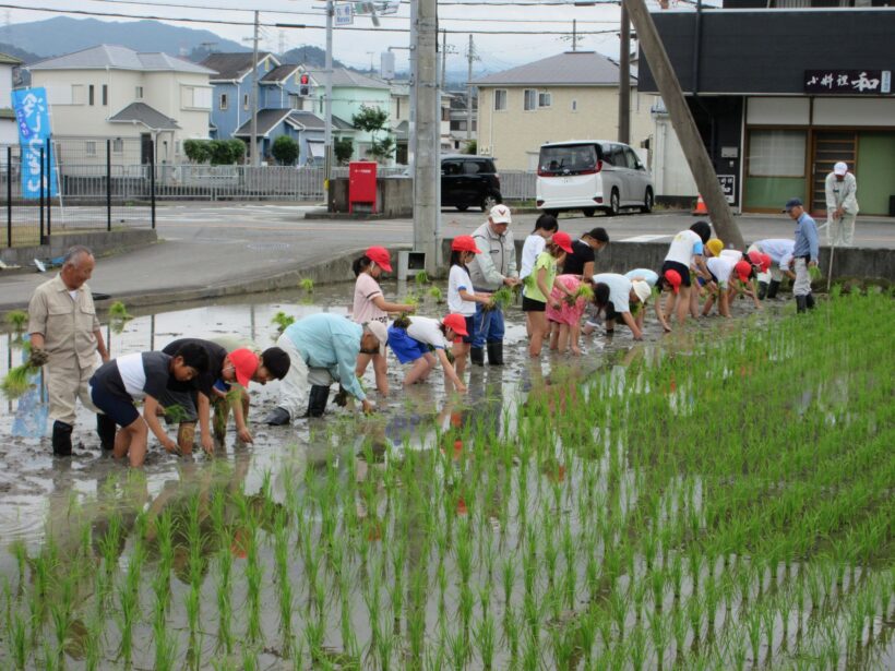 田植えにチャレンジ！