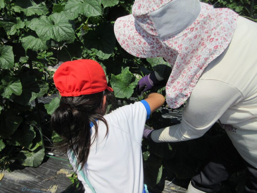 野菜作り名人をたずねて