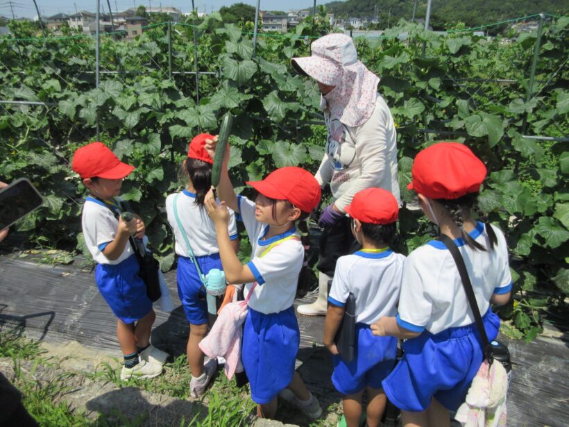 野菜作り名人をたずねて