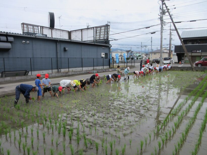 田植えにチャレンジ！