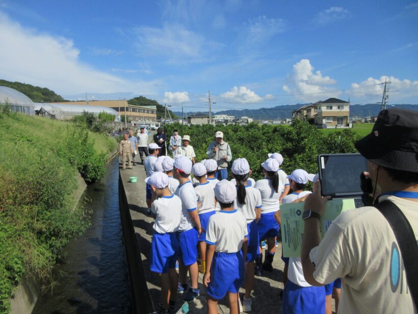 川の生きものを調べよう（４年生）
