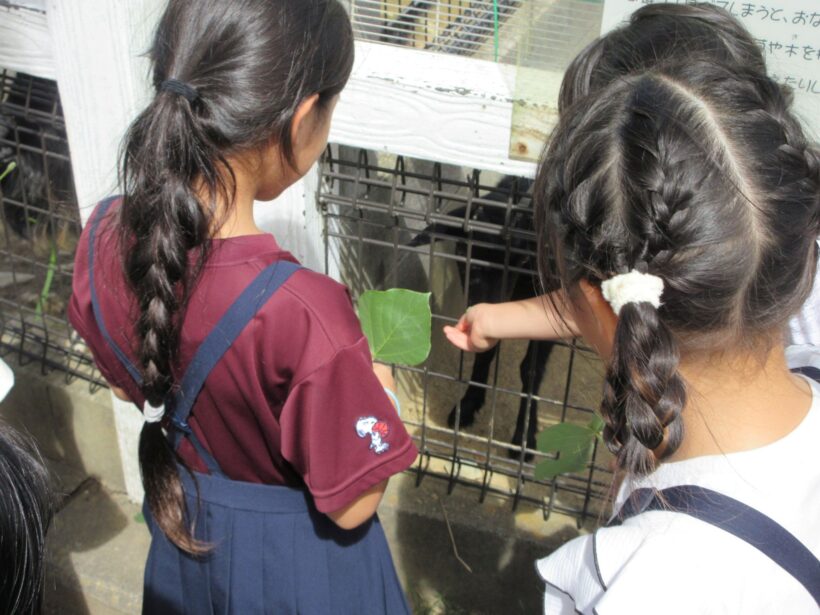動物愛護センターへ（１、２年生）