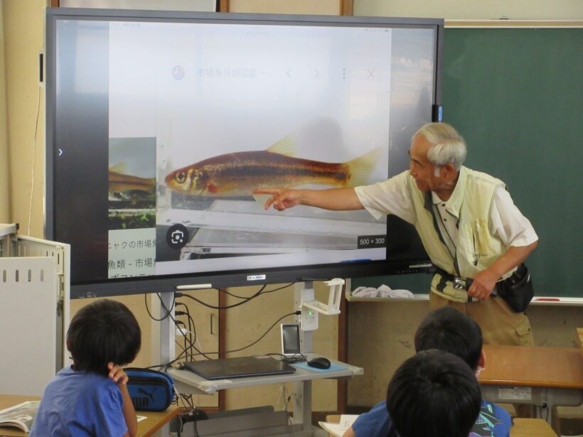 川の生きものを調べよう（４年生）