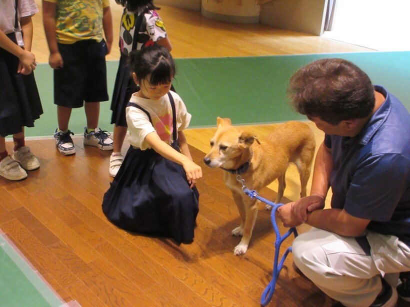 動物愛護センターへ（１、２年生）