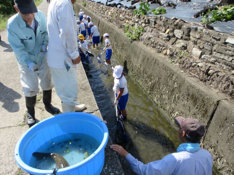 川の生きものを調べよう（４年生）