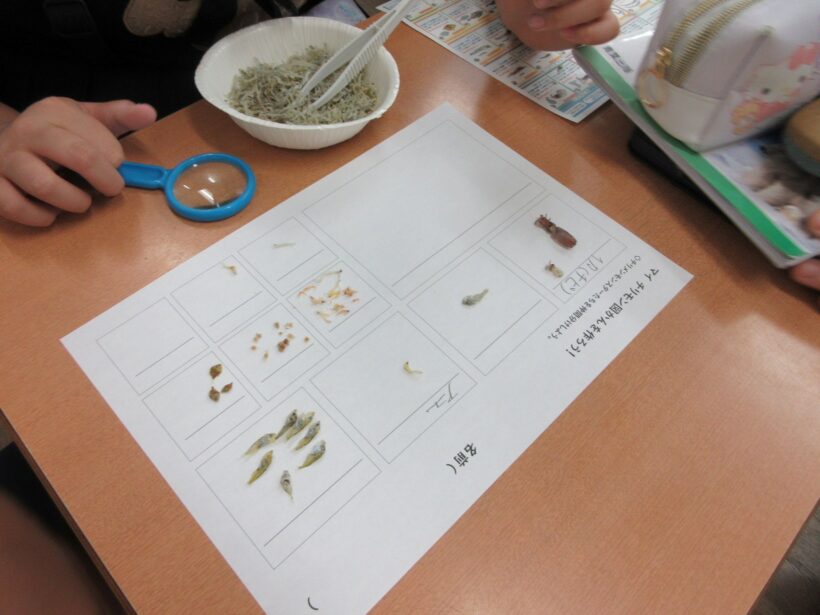 おめでとう!150年の歴史ある丸栖小学校