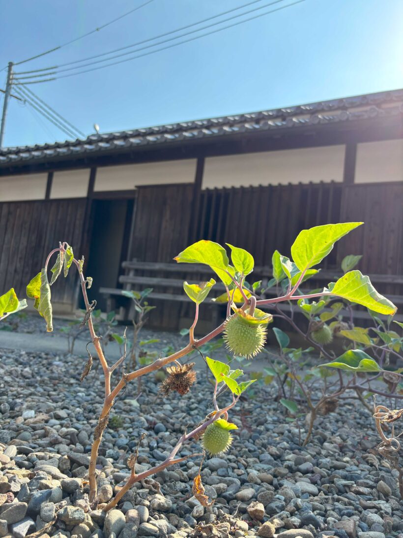 和歌山の偉人をたずねて(4年生)