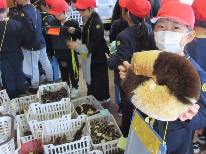 2年生の「まちの素敵をたんけん!」