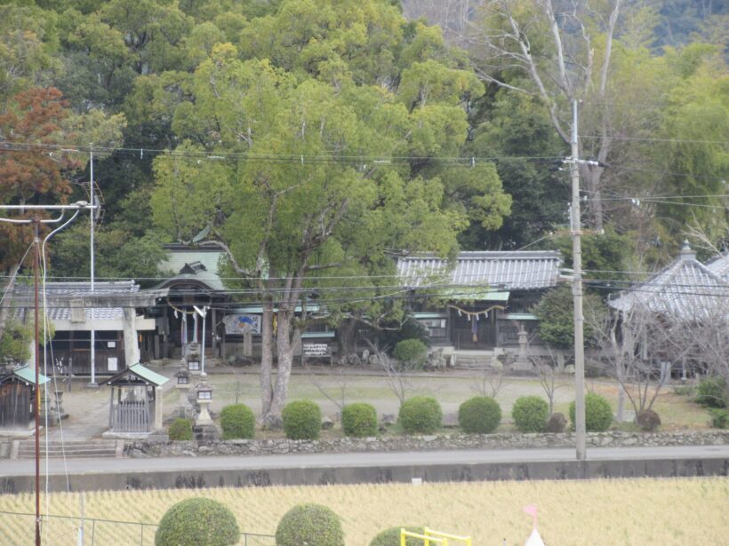 丸栖の大多羅乳女神社って（６年生）