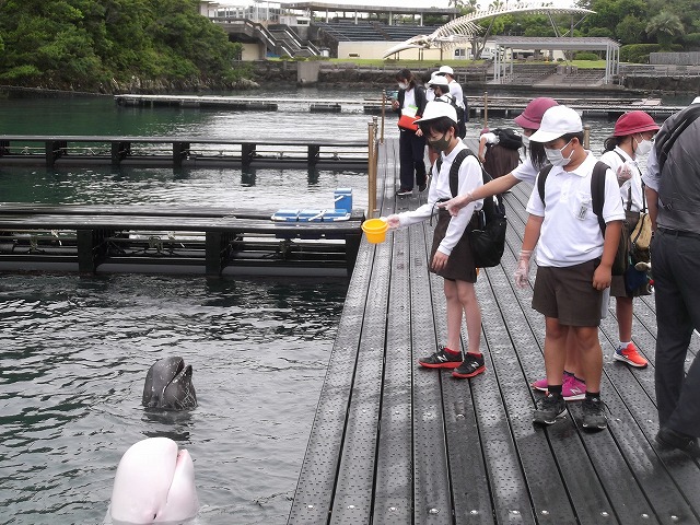 6/16.17  ６年生修学旅行の様子