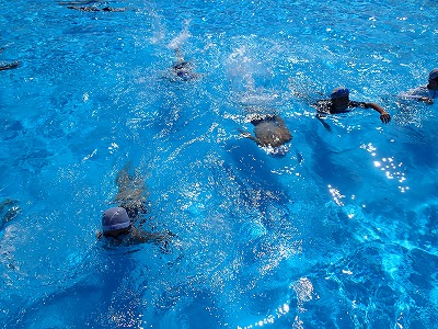 プール水泳
