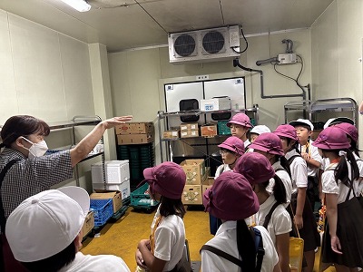 ３年 スーパーマーケット見学