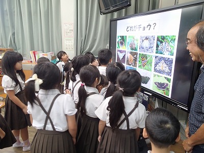 １・２年 「生き物、昆虫のお話」