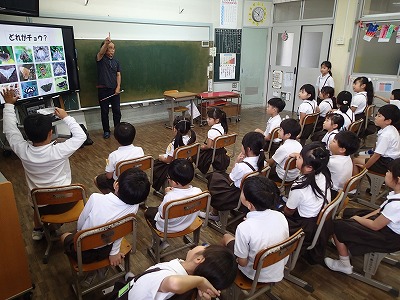 １・２年 「生き物、昆虫のお話」