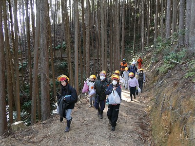 ５年 森林体験