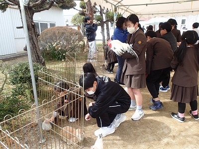 移動動物園