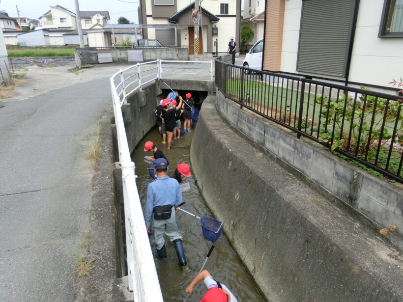 生き物調査に行ってきました